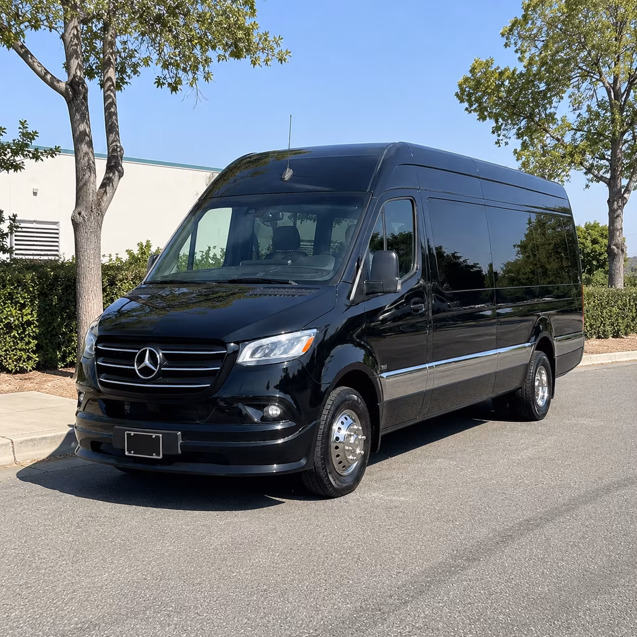 las cruces wedding transportation onboard seating